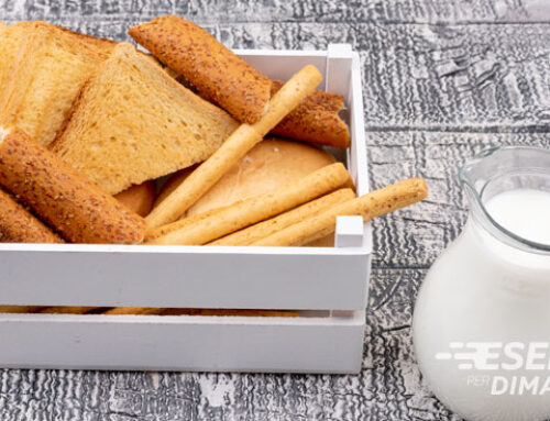 Fette biscottate: calorie, peso esatto e se fanno ingrassare