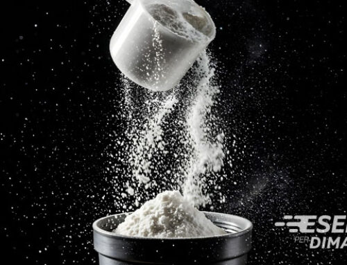 Proteine in polvere: fanno male? Whey, vegetali e come usarle